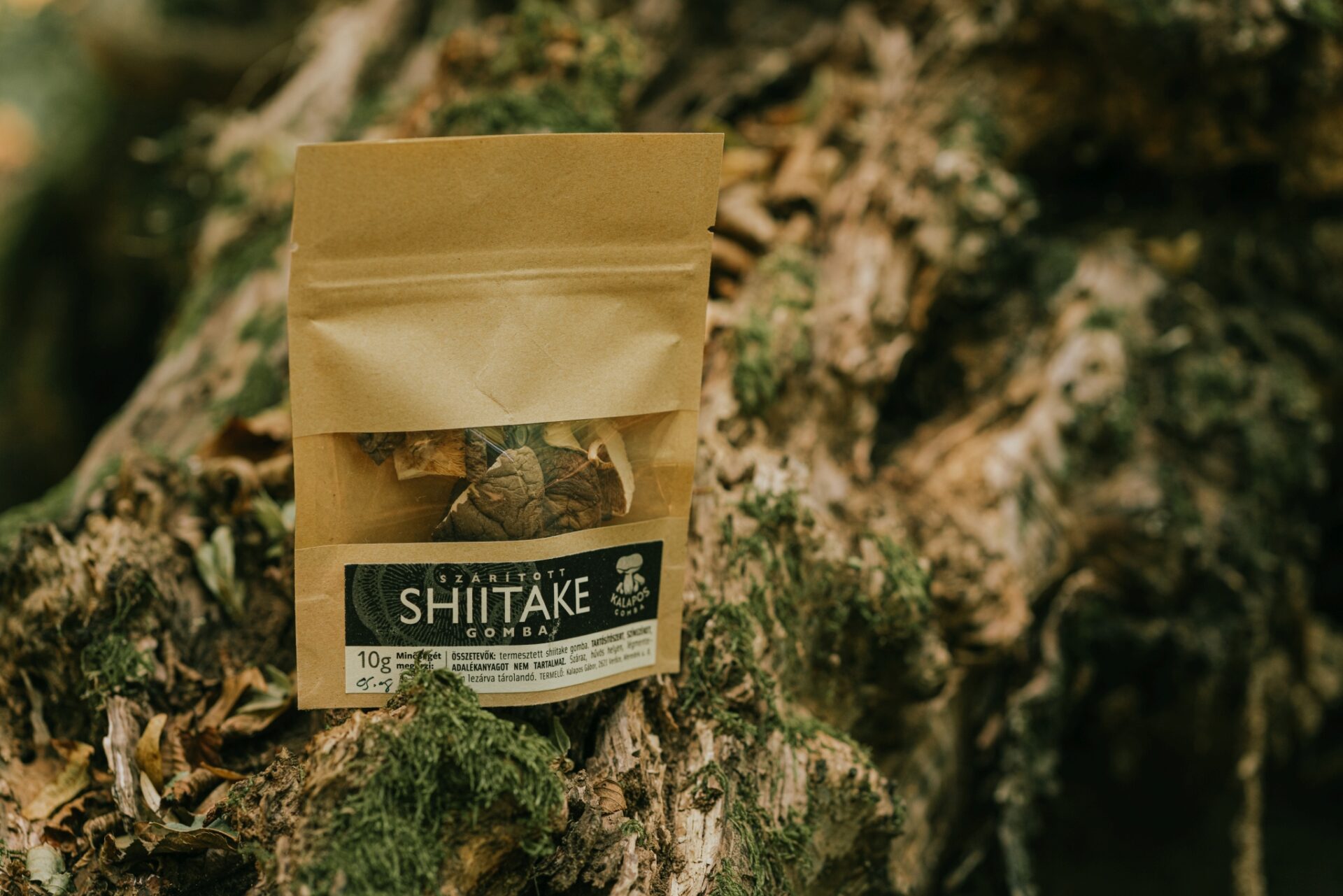 Shiitake gombaszárítmány