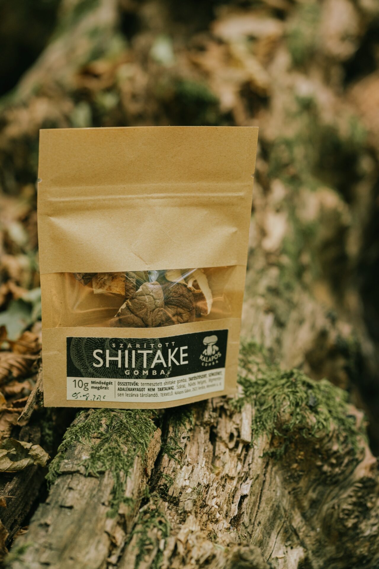 Szárított shiitake DSC01806_KG_2048