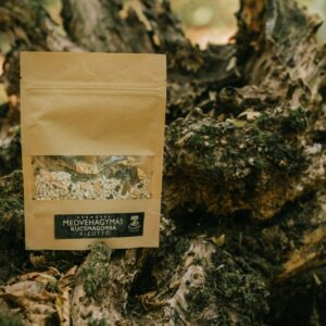 Medvehagymás kucsmagomba rizottó